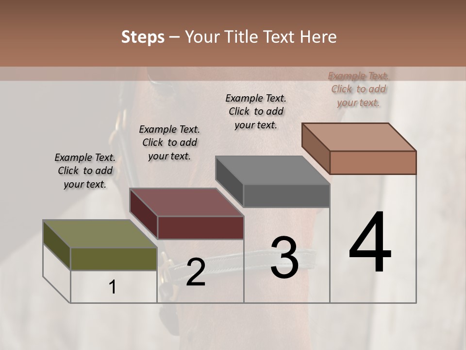 Forelock Coast Images PowerPoint Template
