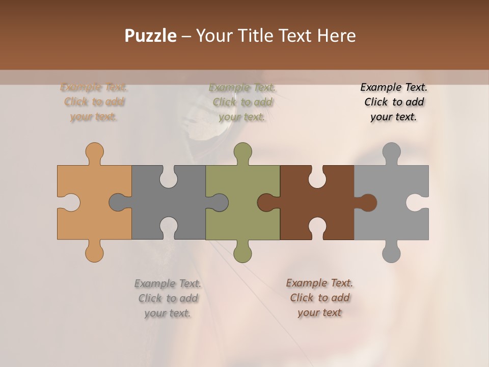 Royaltyfreephoto Stockphotographs Caucasian PowerPoint Template