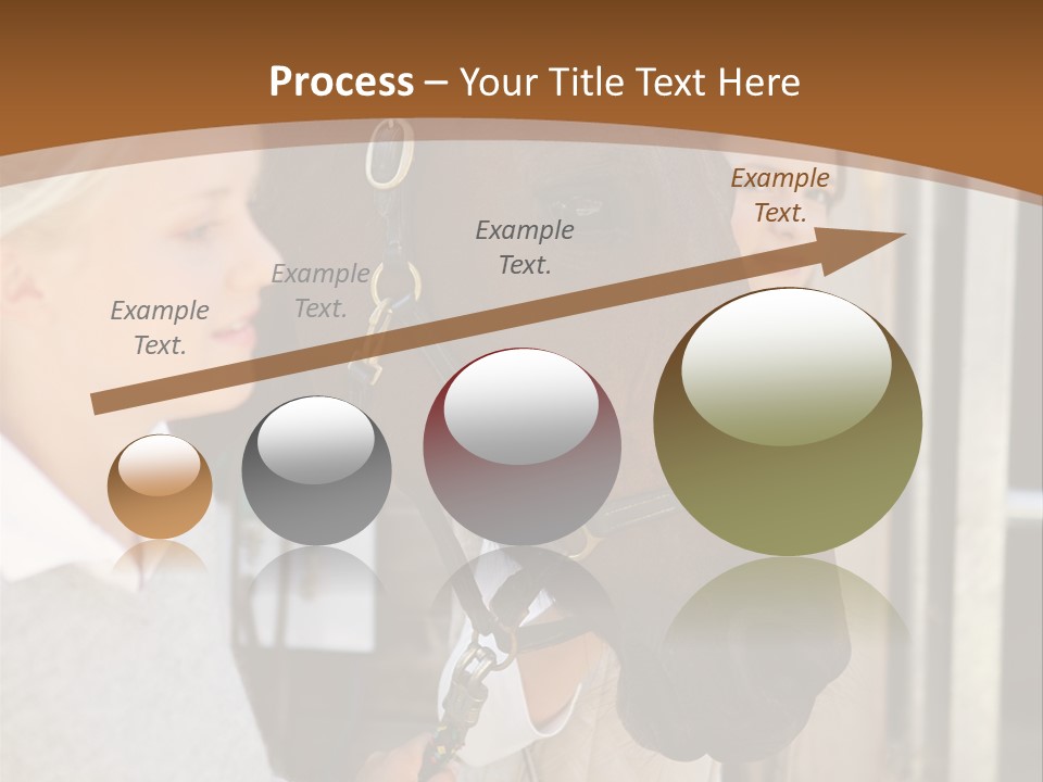 Caucasian Oddtoedungulate Graphics PowerPoint Template