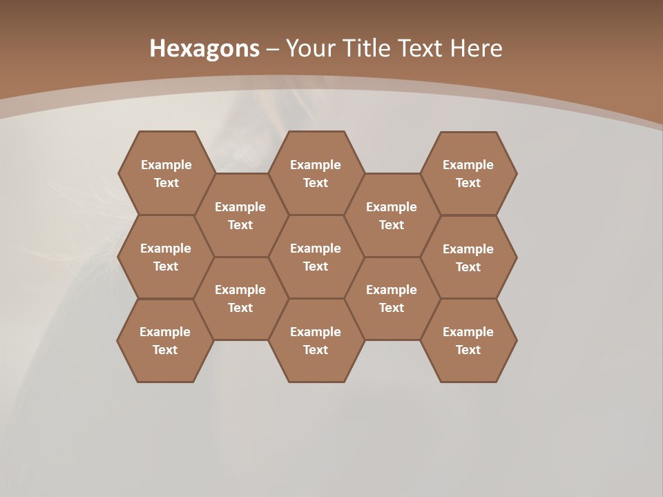 Brown Youngwoman Hiding PowerPoint Template