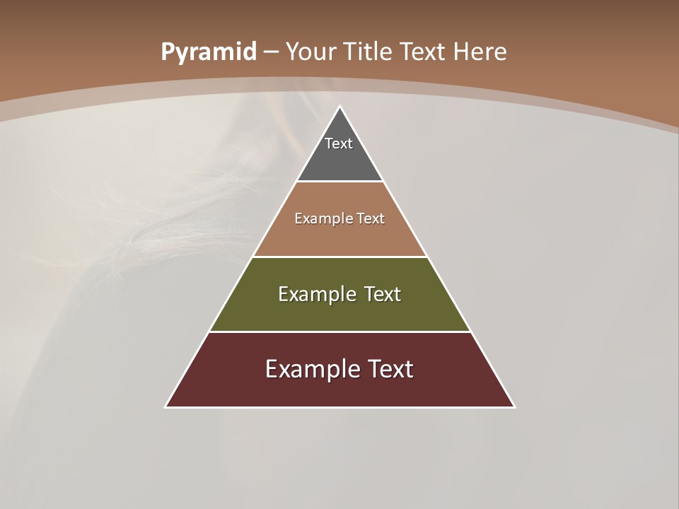 Brown Youngwoman Hiding PowerPoint Template