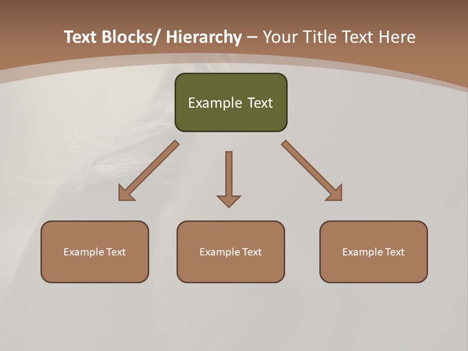 Brown Youngwoman Hiding PowerPoint Template