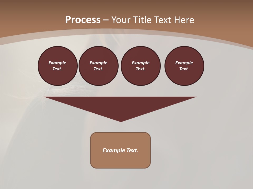 Brown Youngwoman Hiding PowerPoint Template