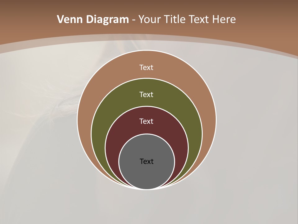 Brown Youngwoman Hiding PowerPoint Template