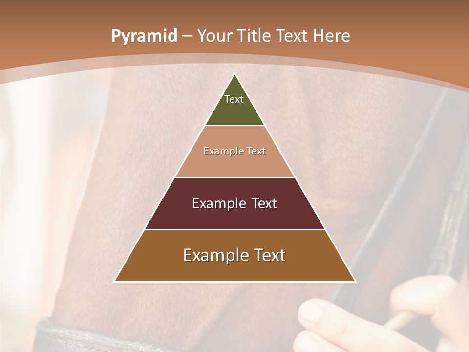 Shapes Shape Males PowerPoint Template