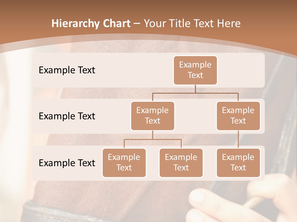 Shapes Shape Males PowerPoint Template