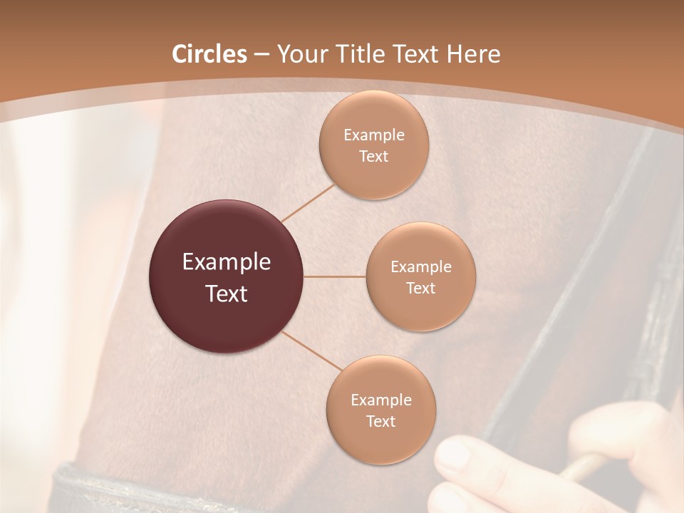 Shapes Shape Males PowerPoint Template
