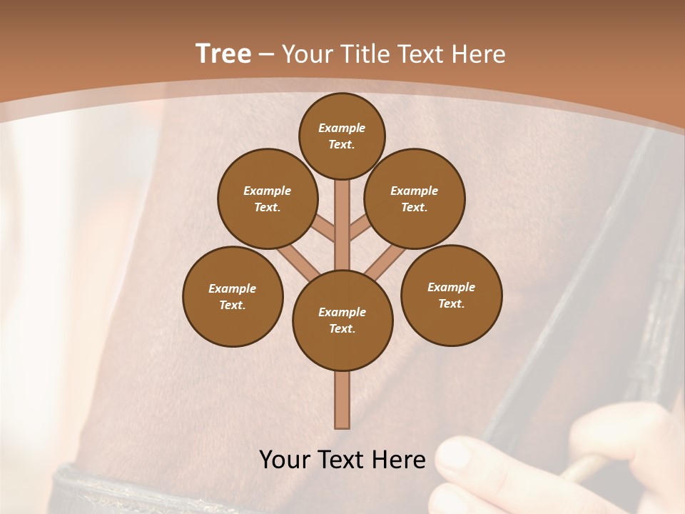 Shapes Shape Males PowerPoint Template