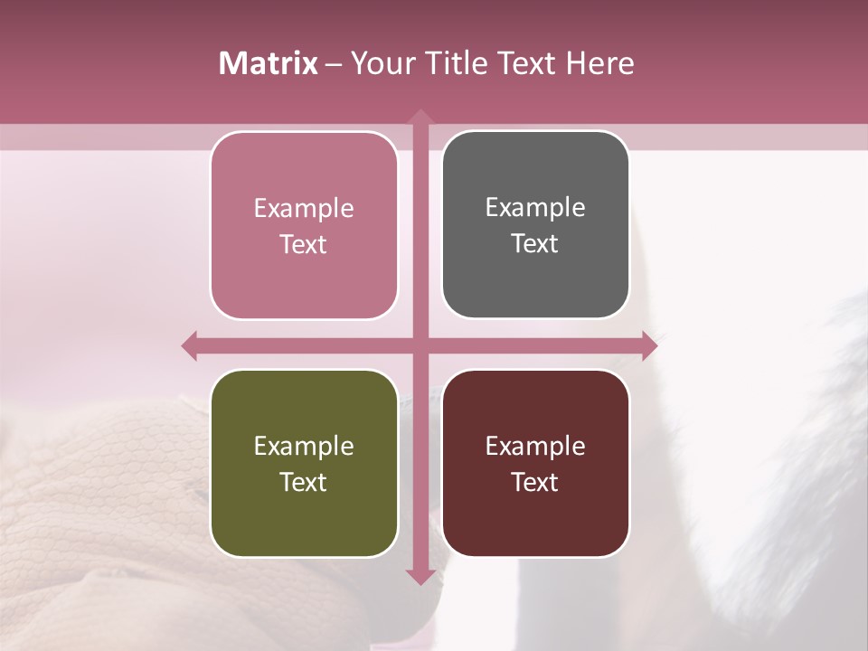 Posters Wallmurals Female PowerPoint Template