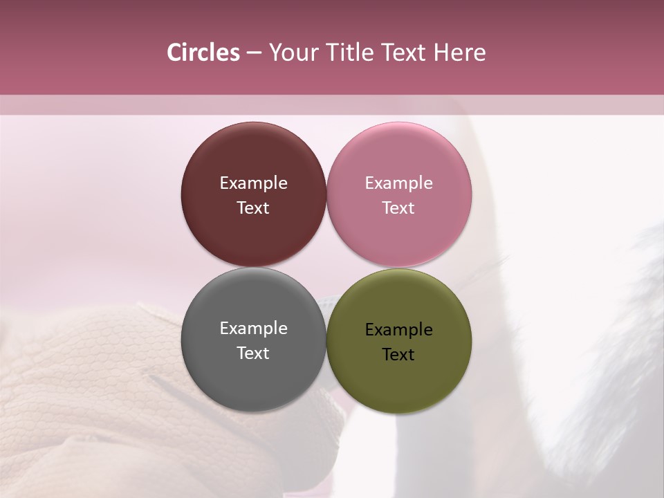 Posters Wallmurals Female PowerPoint Template