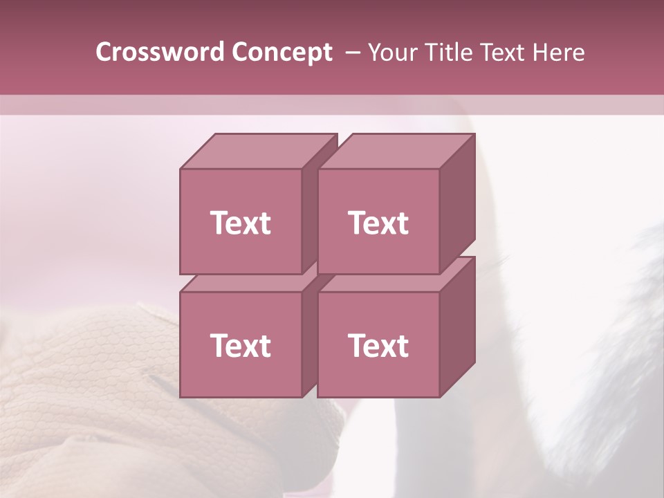 Posters Wallmurals Female PowerPoint Template