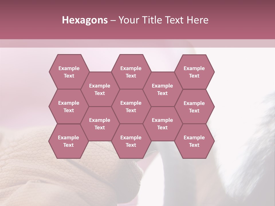 Posters Wallmurals Female PowerPoint Template