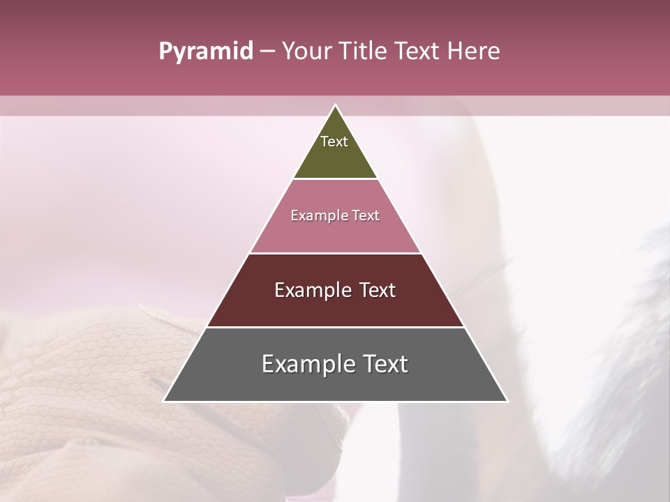 Posters Wallmurals Female PowerPoint Template