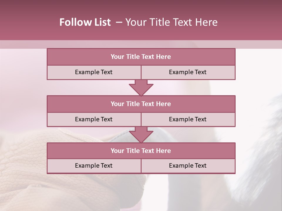 Posters Wallmurals Female PowerPoint Template