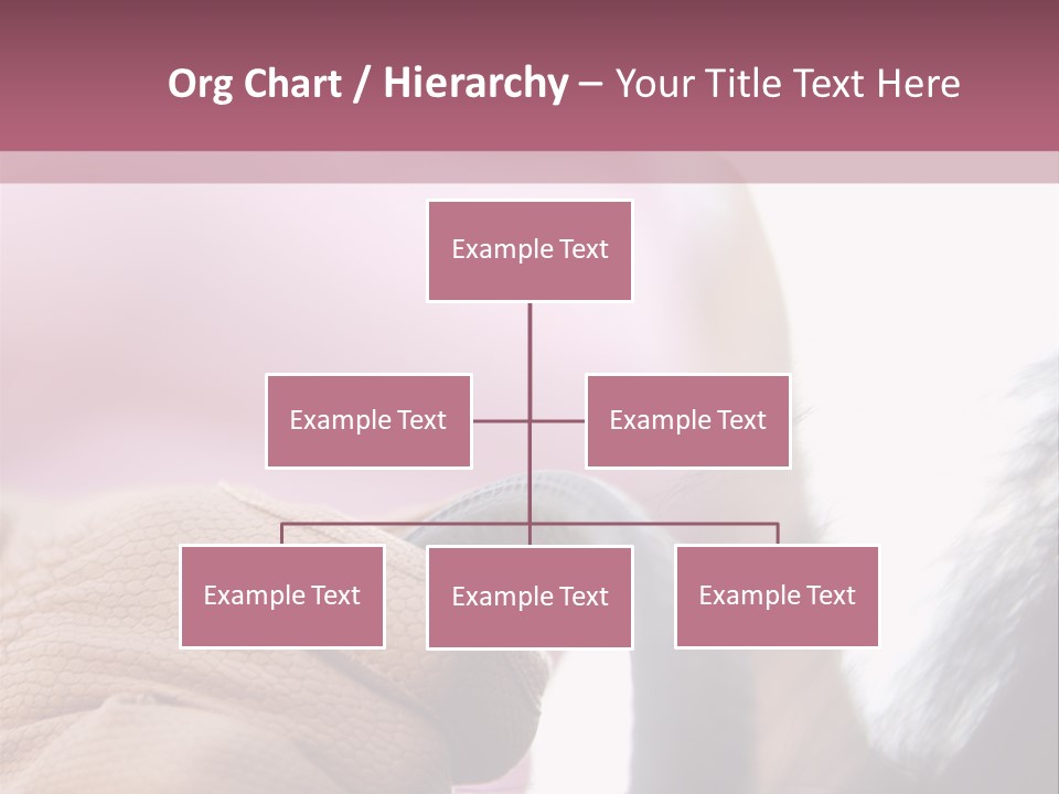 Posters Wallmurals Female PowerPoint Template