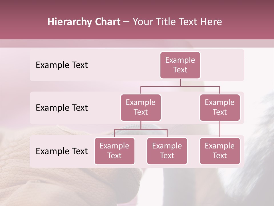 Posters Wallmurals Female PowerPoint Template