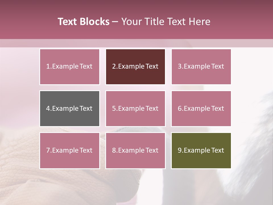 Posters Wallmurals Female PowerPoint Template