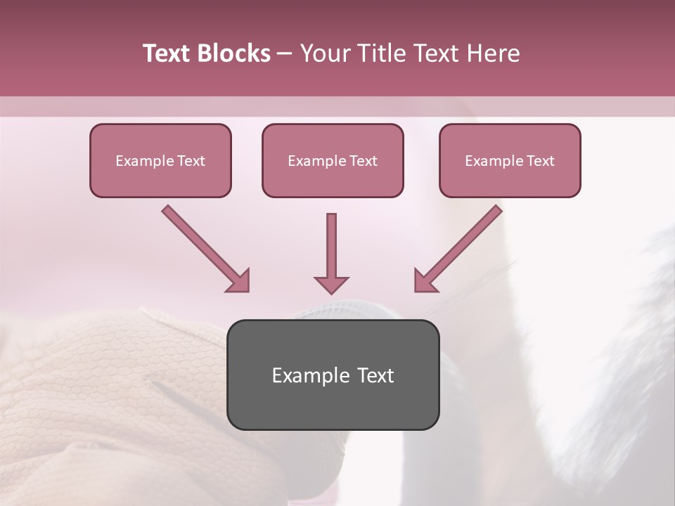 Posters Wallmurals Female PowerPoint Template