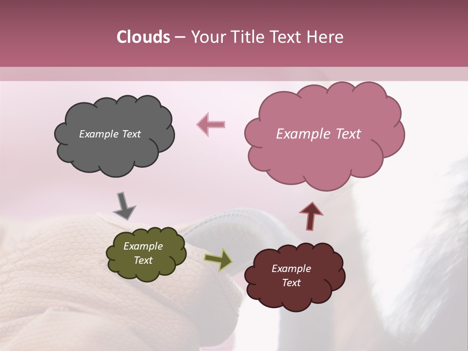 Posters Wallmurals Female PowerPoint Template