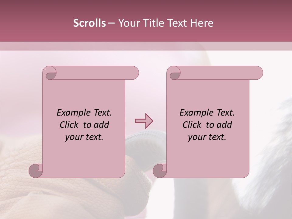 Posters Wallmurals Female PowerPoint Template