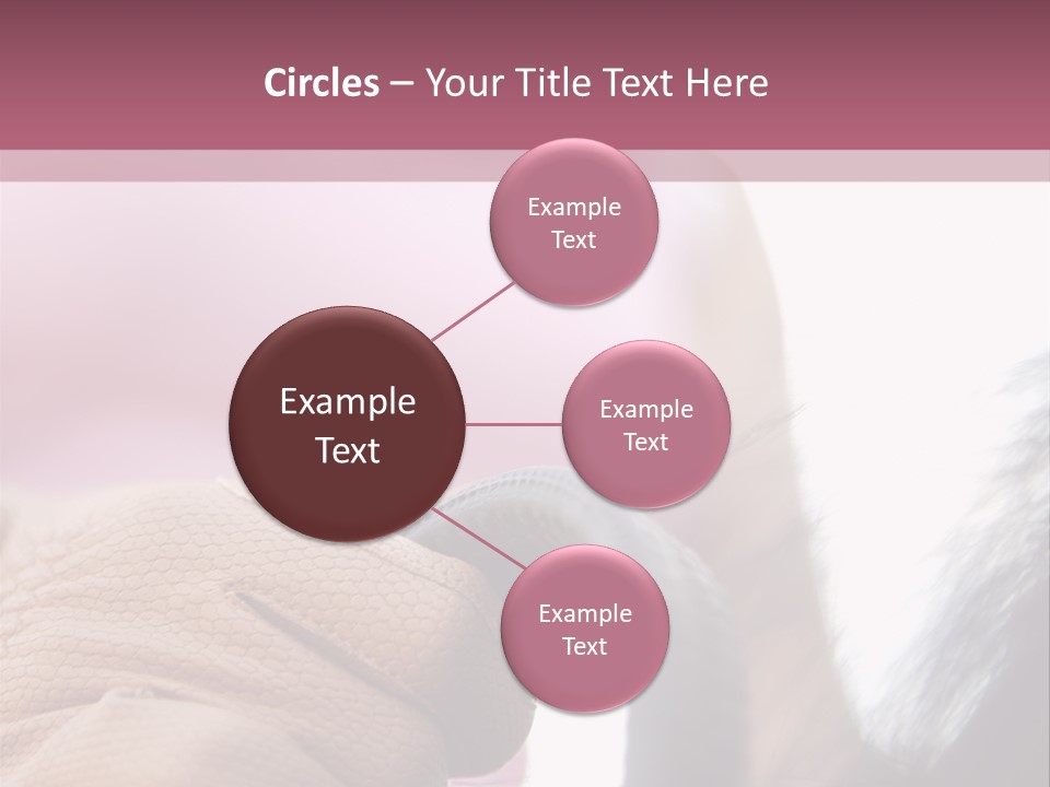 Posters Wallmurals Female PowerPoint Template