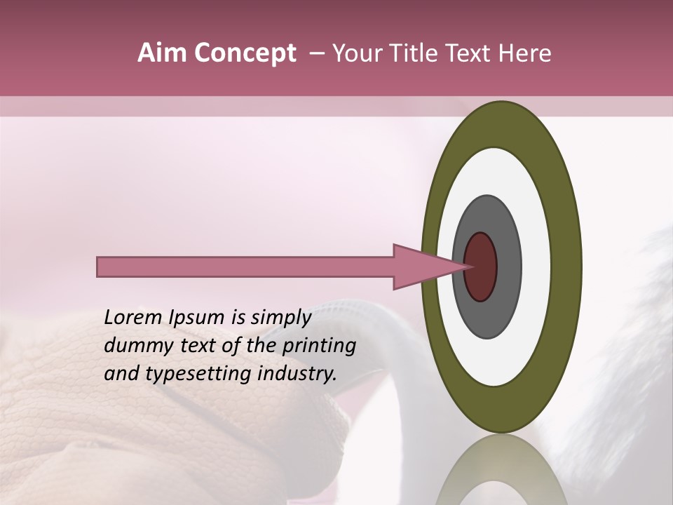 Posters Wallmurals Female PowerPoint Template