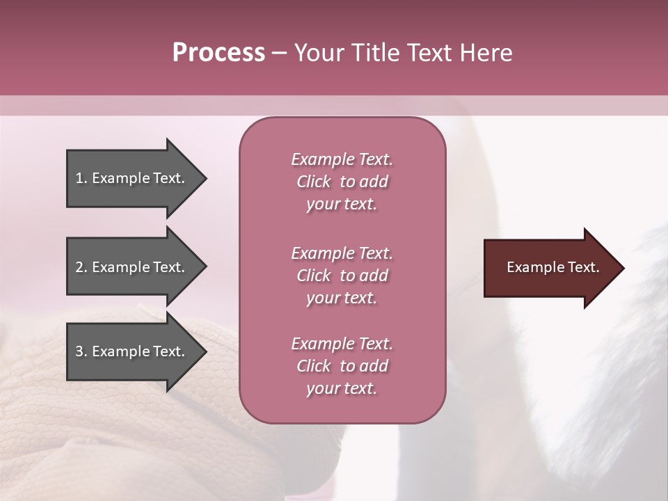 Posters Wallmurals Female PowerPoint Template