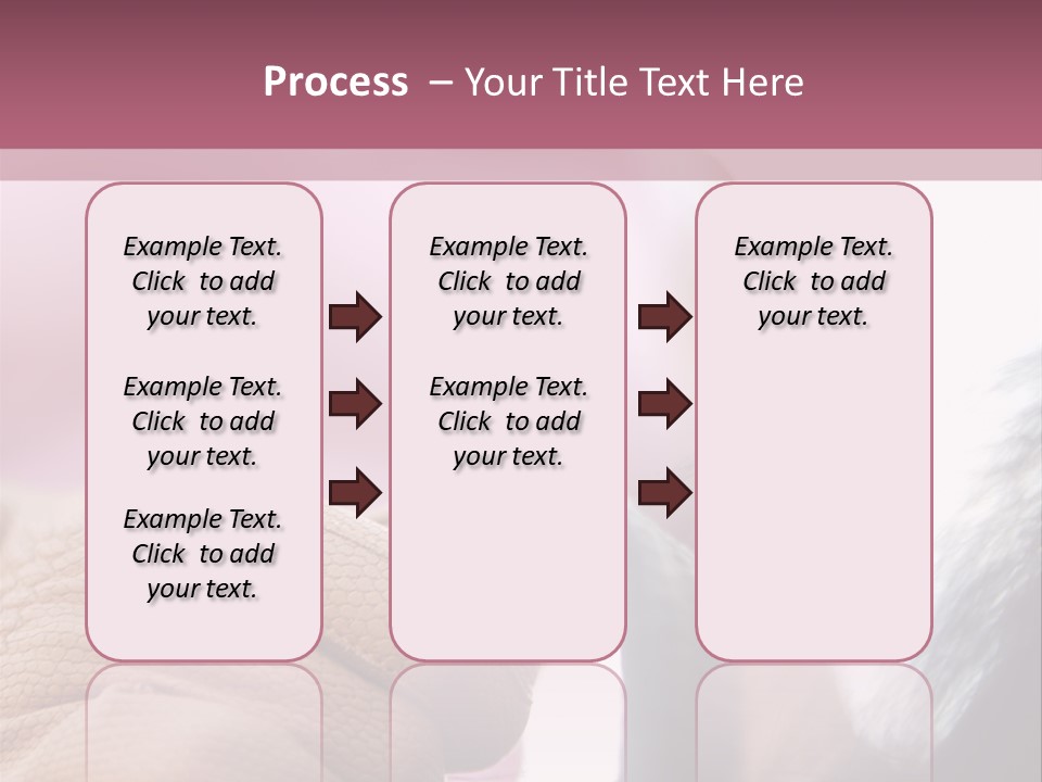 Posters Wallmurals Female PowerPoint Template