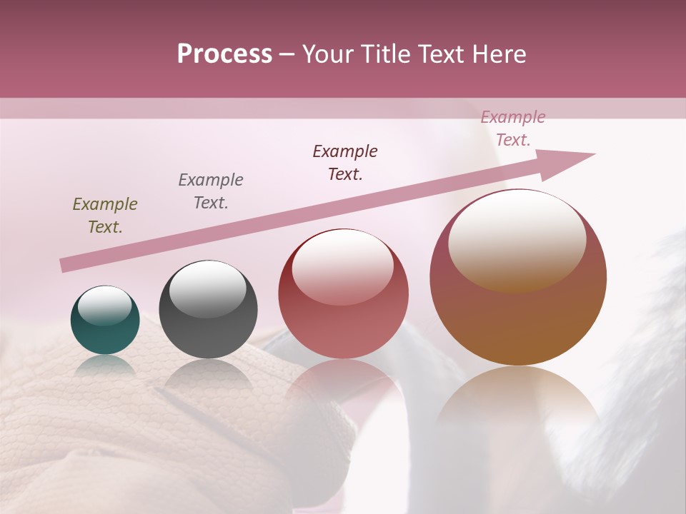 Posters Wallmurals Female PowerPoint Template