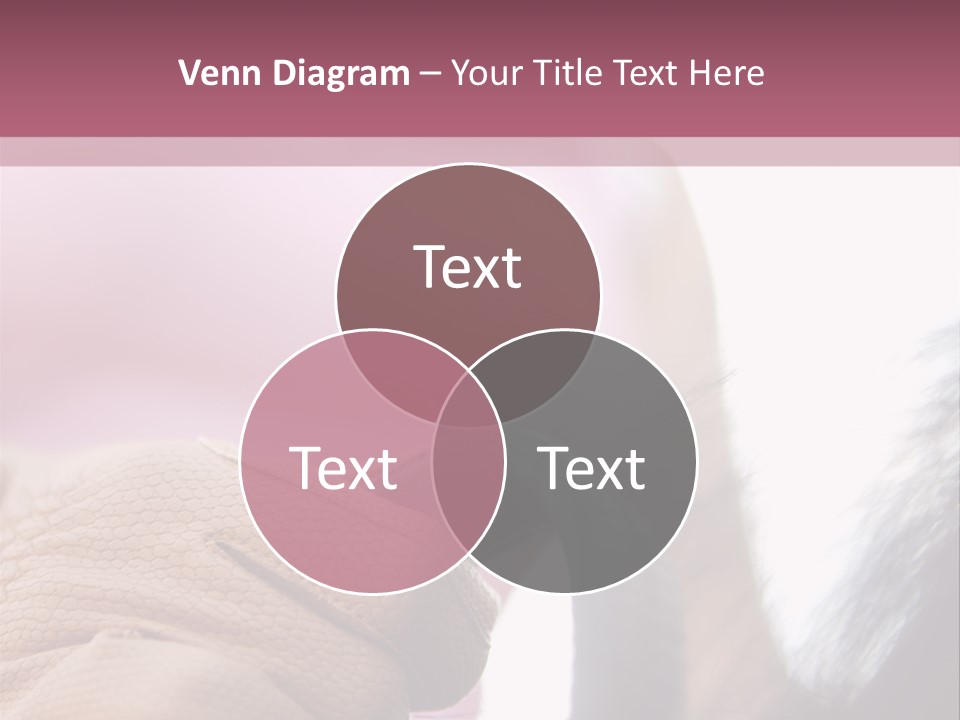 Posters Wallmurals Female PowerPoint Template