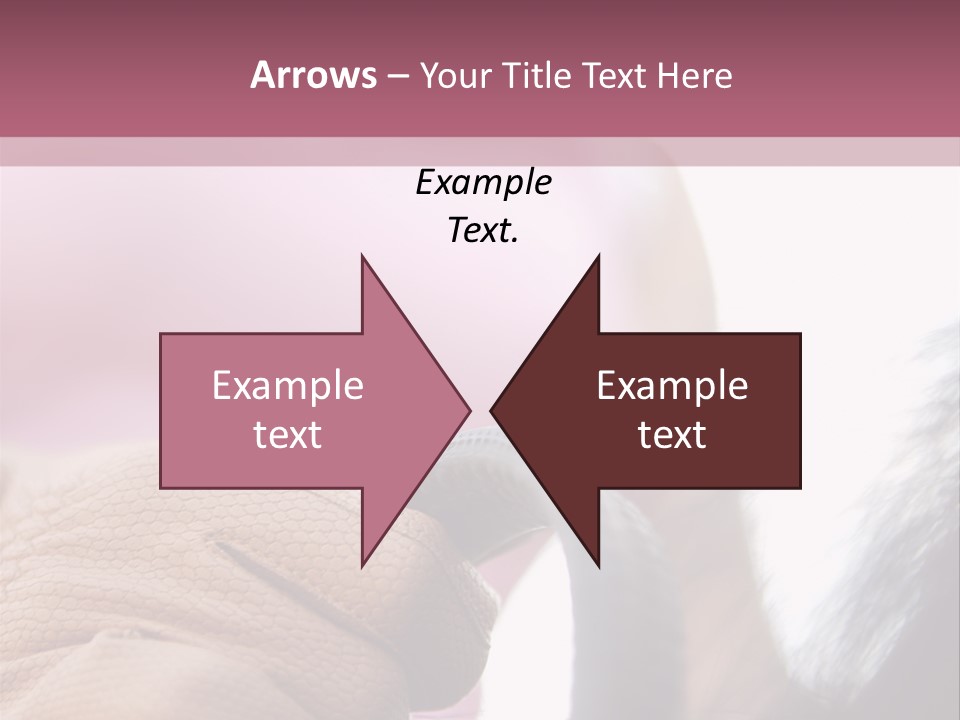 Posters Wallmurals Female PowerPoint Template