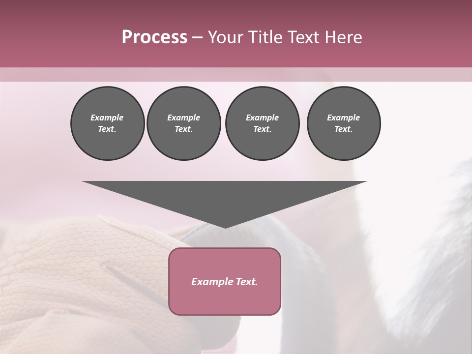 Posters Wallmurals Female PowerPoint Template