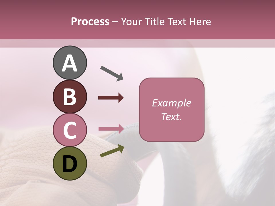 Posters Wallmurals Female PowerPoint Template