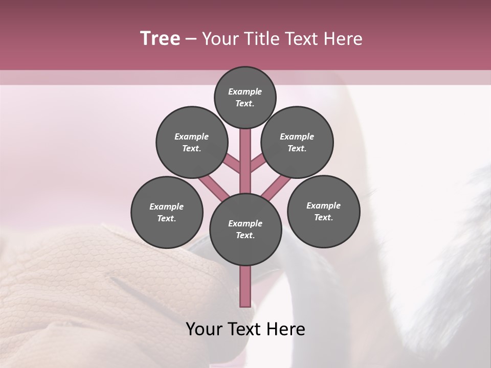 Posters Wallmurals Female PowerPoint Template