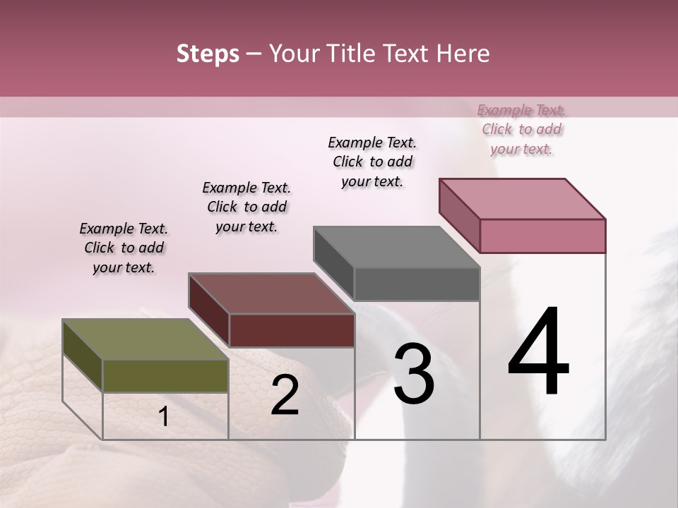 Posters Wallmurals Female PowerPoint Template