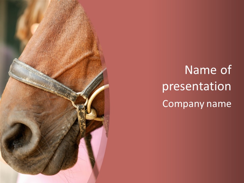 Animal Oneperson Colour PowerPoint Template