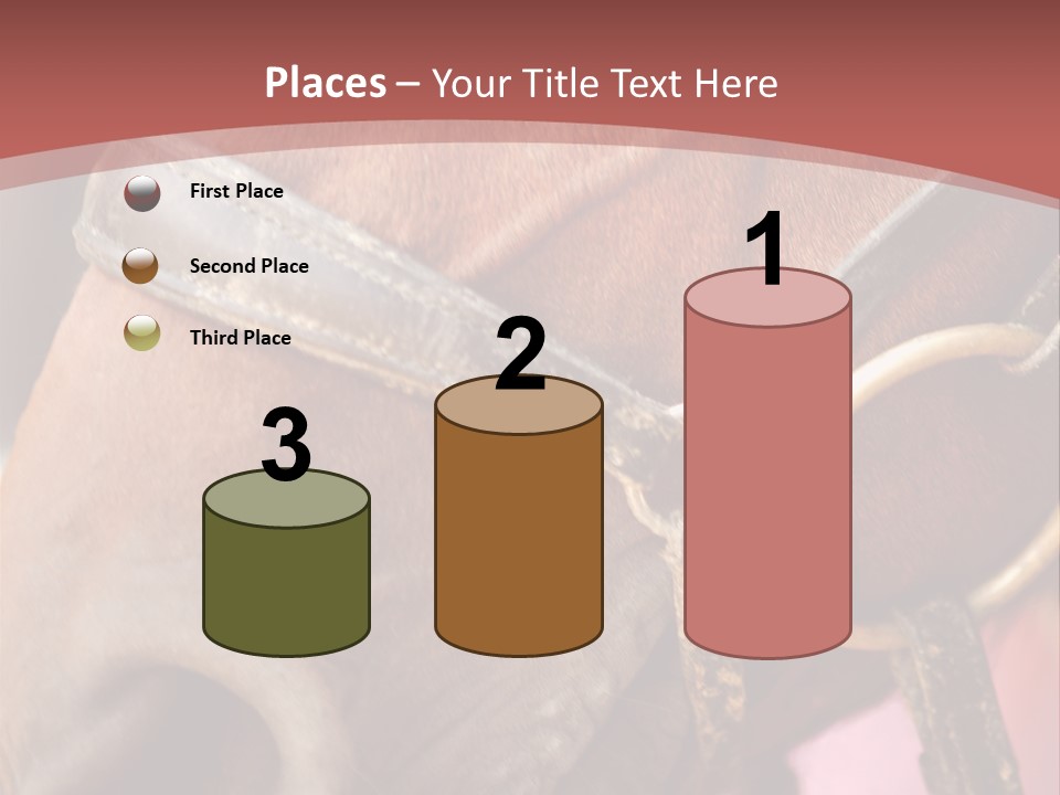 Animal Oneperson Colour PowerPoint Template