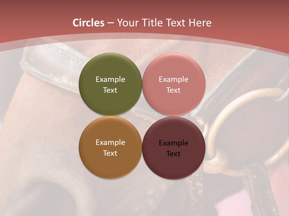 Animal Oneperson Colour PowerPoint Template