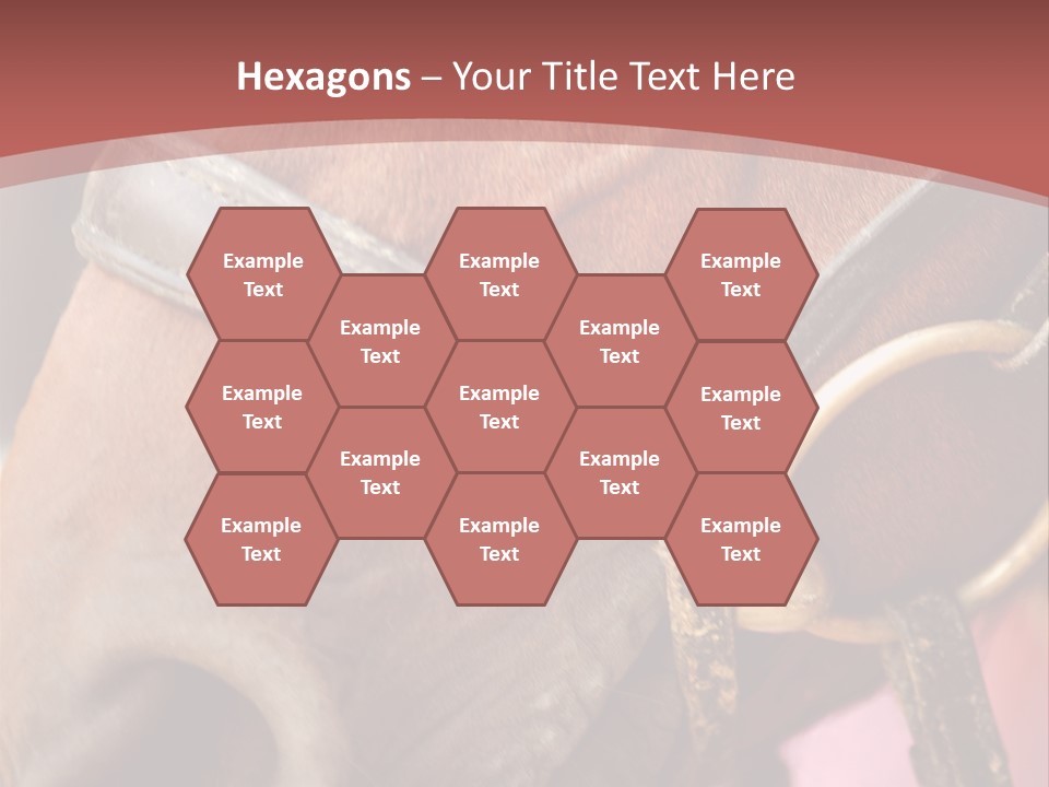 Animal Oneperson Colour PowerPoint Template