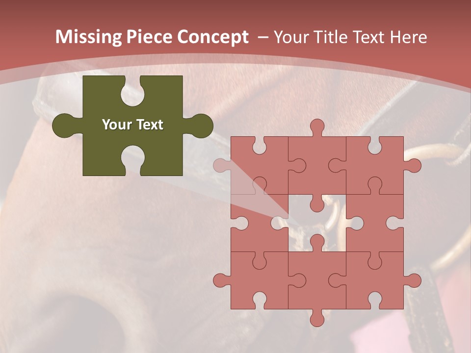 Animal Oneperson Colour PowerPoint Template