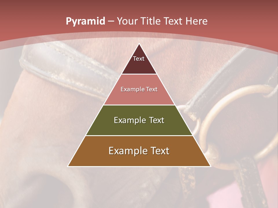 Animal Oneperson Colour PowerPoint Template