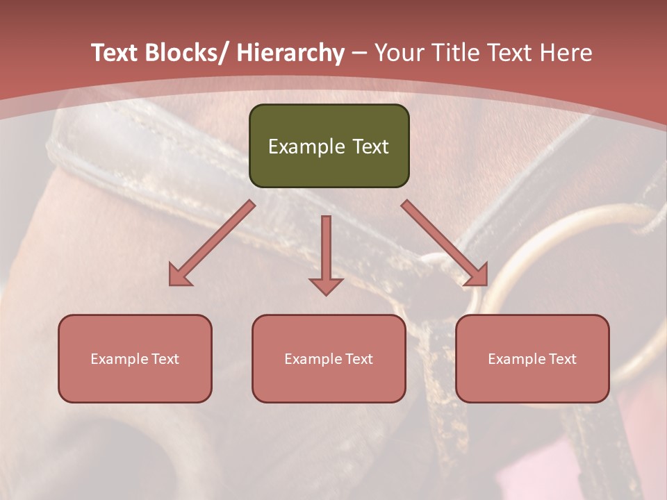 Animal Oneperson Colour PowerPoint Template