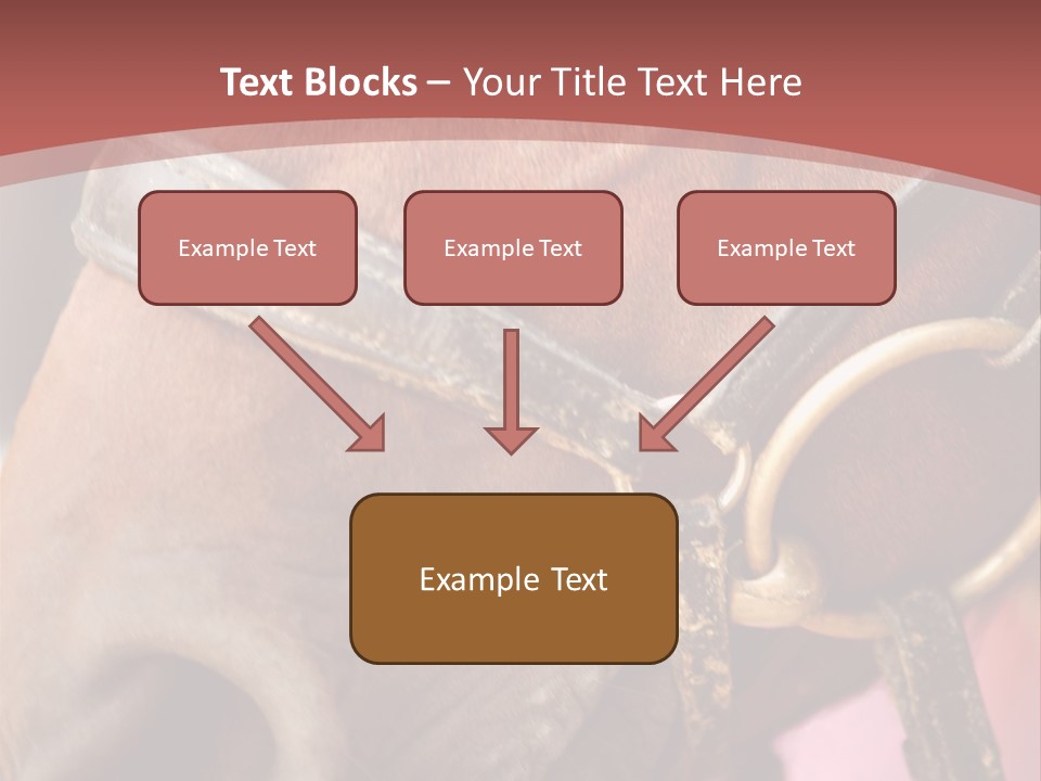Animal Oneperson Colour PowerPoint Template