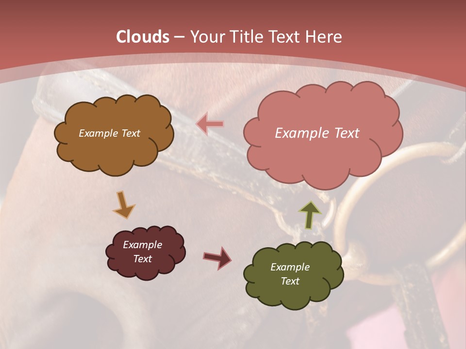 Animal Oneperson Colour PowerPoint Template