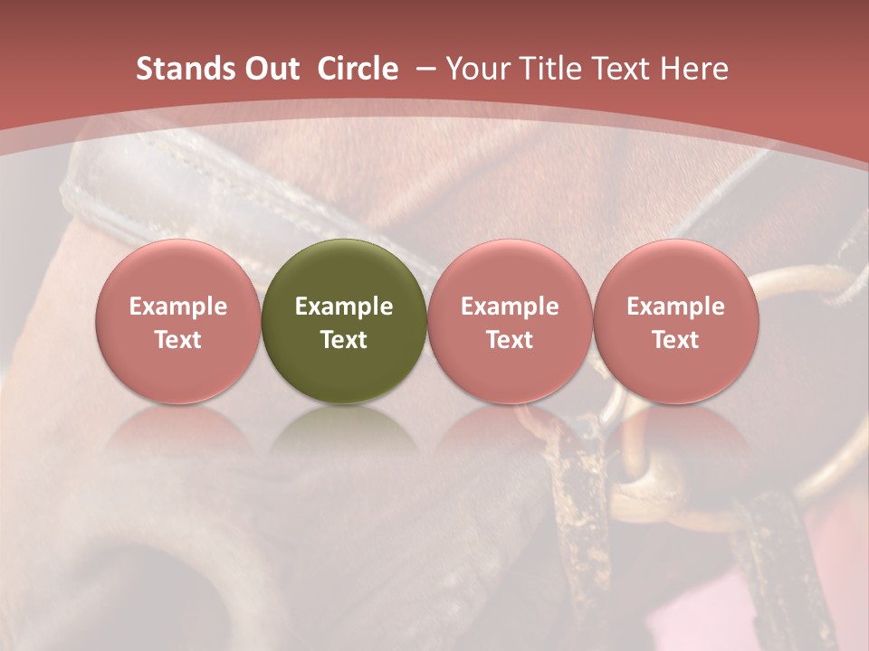 Animal Oneperson Colour PowerPoint Template