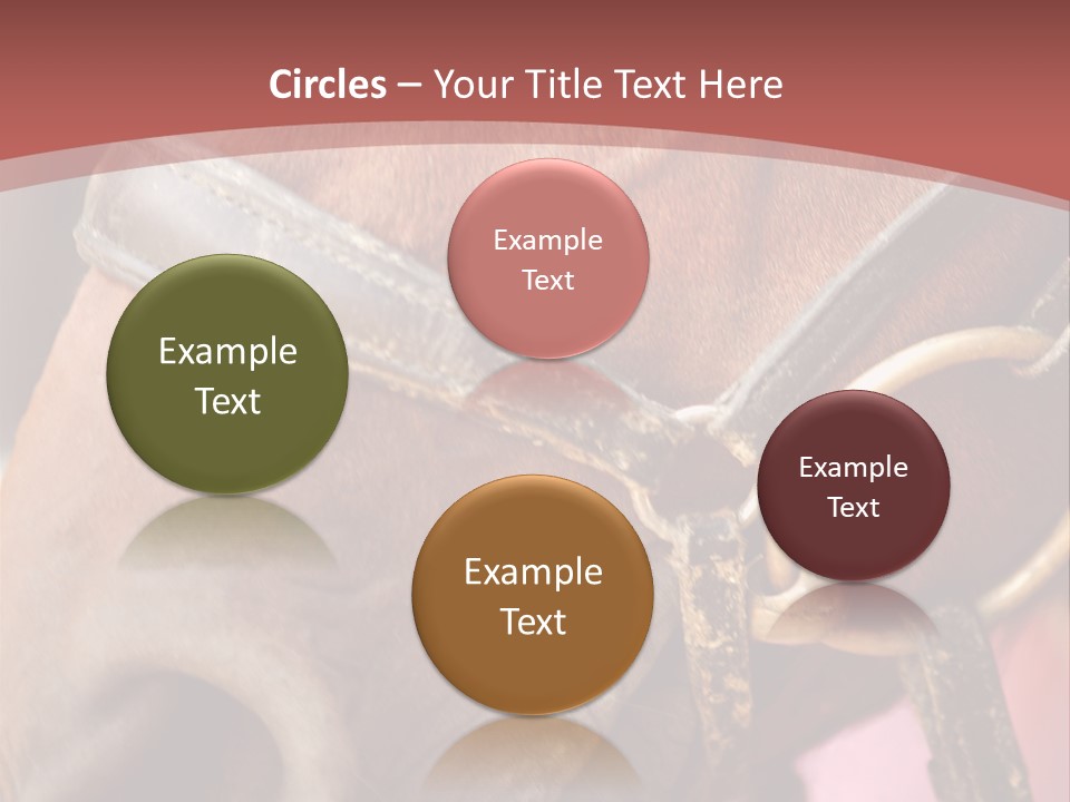 Animal Oneperson Colour PowerPoint Template