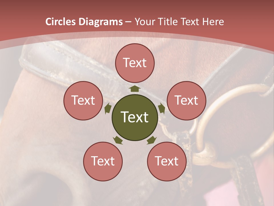 Animal Oneperson Colour PowerPoint Template