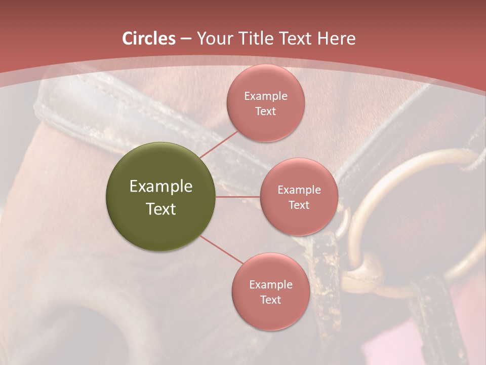 Animal Oneperson Colour PowerPoint Template