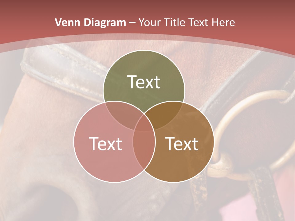 Animal Oneperson Colour PowerPoint Template