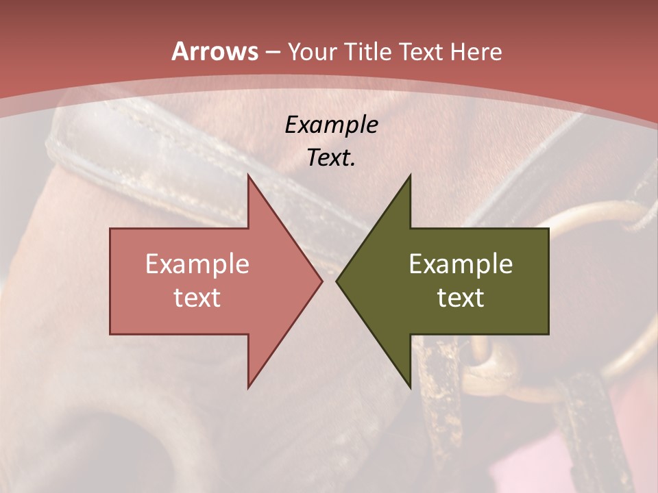 Animal Oneperson Colour PowerPoint Template